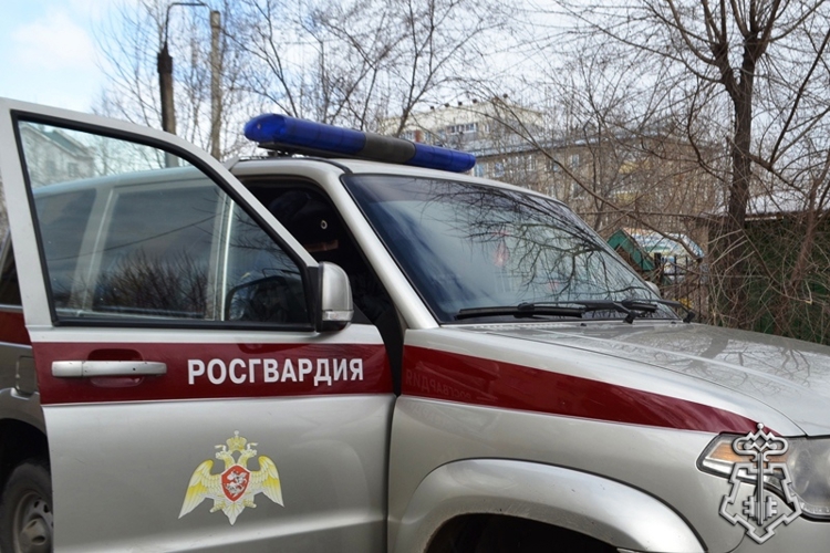 Более 140 правонарушителей задержали сотрудники вневедомственной охраны Росгвардии за прошедшую неделю 