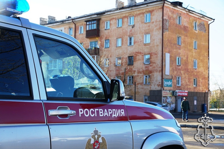В Улан-Удэ сотрудники вневедомственной охраны задержали подозреваемую в краже