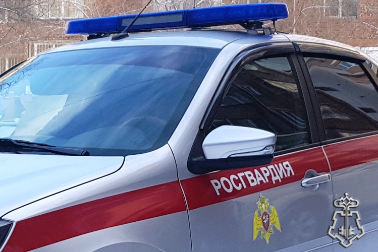 Итоги недели: раскрыто 15 преступлений и задержаны 148 правонарушителей