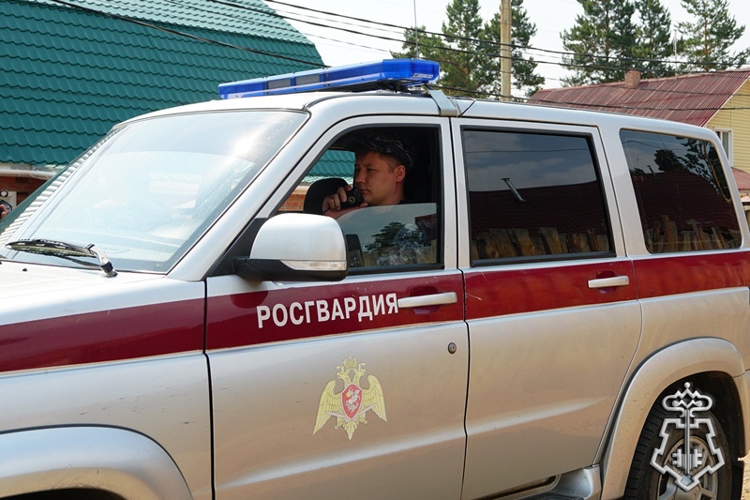 Итоги недели: раскрыто 14 преступлений и задержаны 145 правонарушителей