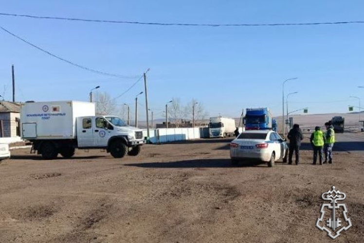 Заместитель председателя Правительства Бурятии Амгалан Дармаев поблагодарил сотрудников вневедомственной охраны за работу на ветеринарных постах