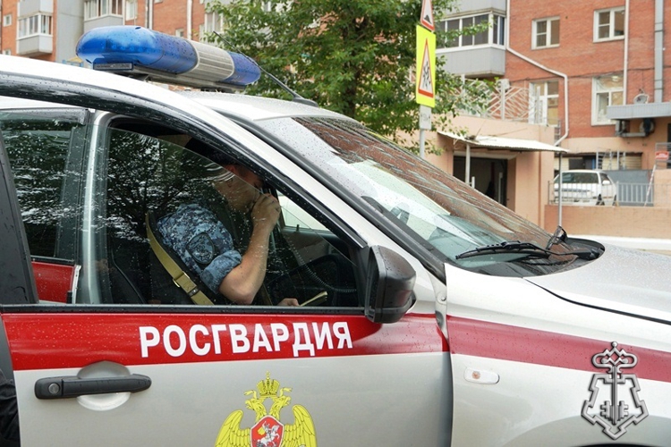 Итоги недели: раскрыто 10 преступлений и задержаны 154 правонарушителя