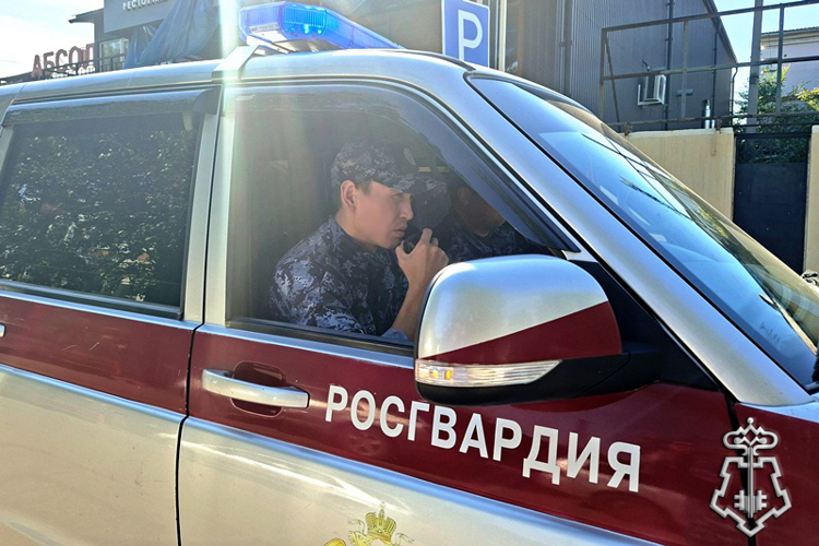 Итоги недели: раскрыто 14 преступлений и задержаны 158 правонарушителей